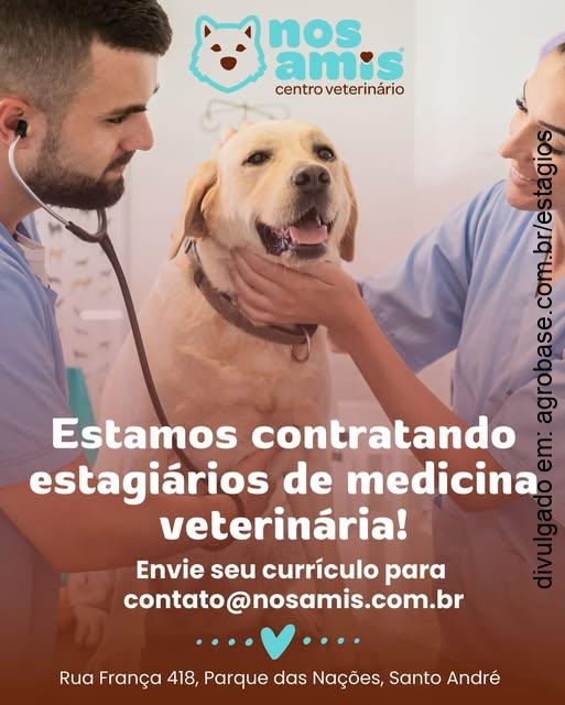 Estagiário de medicina veterinária – Santo André/SP