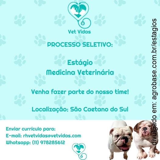 Estágio medicina veterinária – São Caetano do Sul/SP