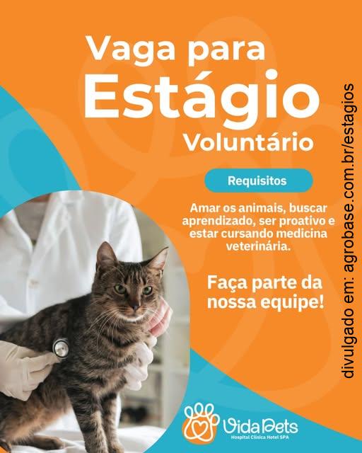 Estágio medicina veterinária – Toledo/PR