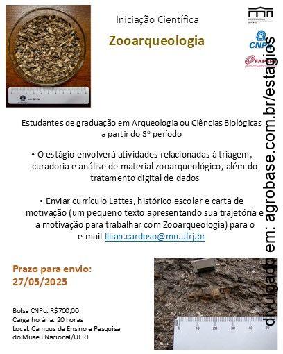 Bolsa iniciação científica em zooarqueologia – Rio de Janeiro/RJ