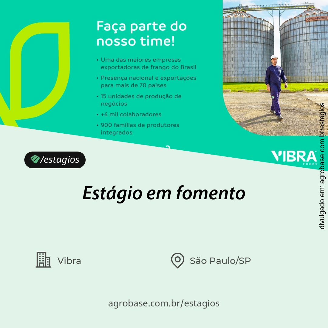 Estágio em fomento – Pato Branco/PR