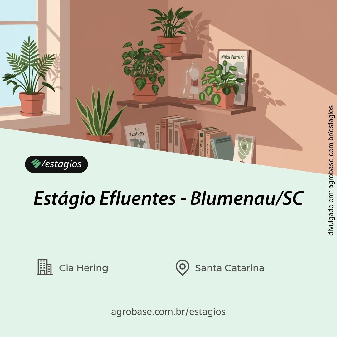 Estágio área de efluentes – Blumenau/SC