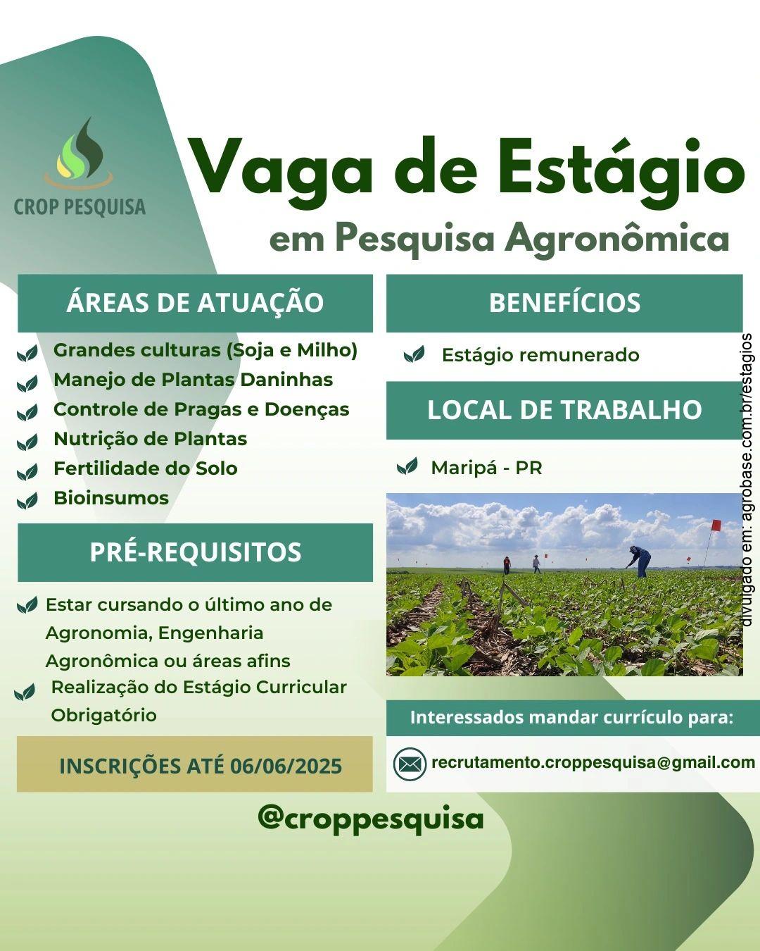 Estágio em pesquisa agronômica – Maripá/PR