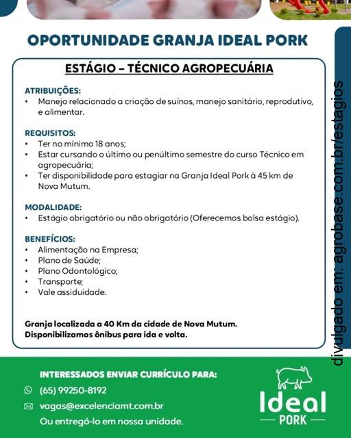 Estágio técnico agropecuária – Nova Mutum/MT