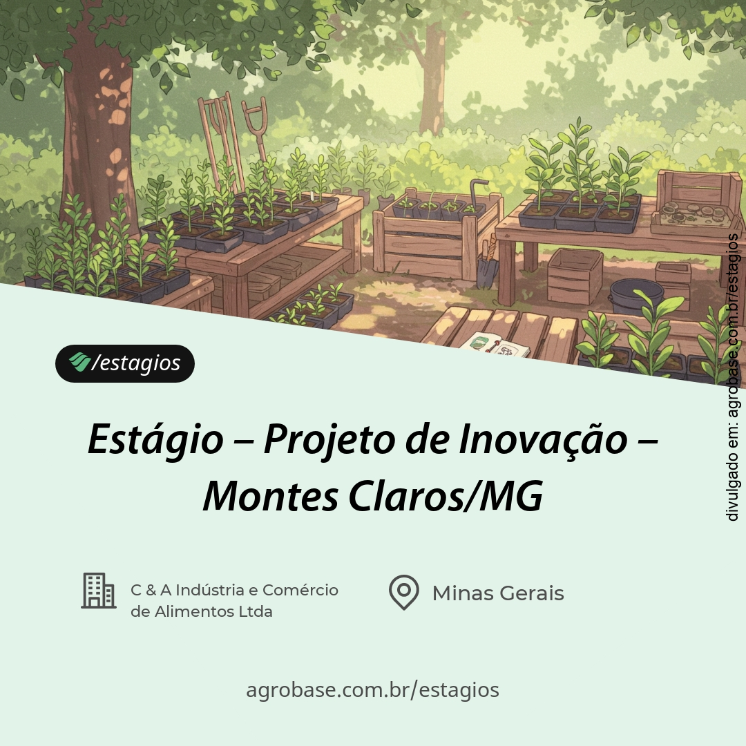 Estágio projeto de inovação – Montes Claros/MG