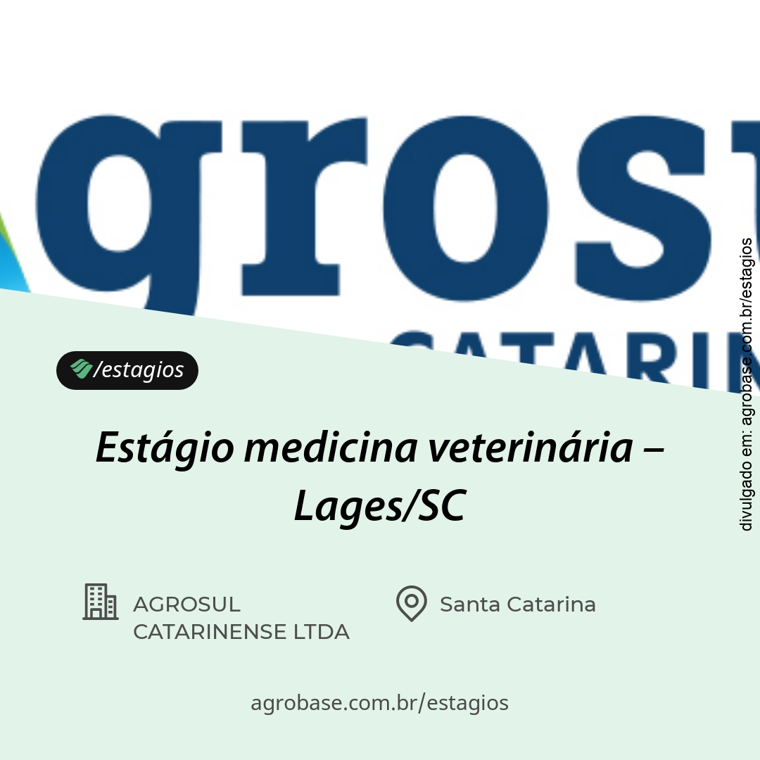 Estágio medicina veterinária – Lages/SC