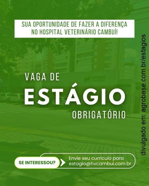 Estágio obrigatório hspital veterinário – Campinas/SP