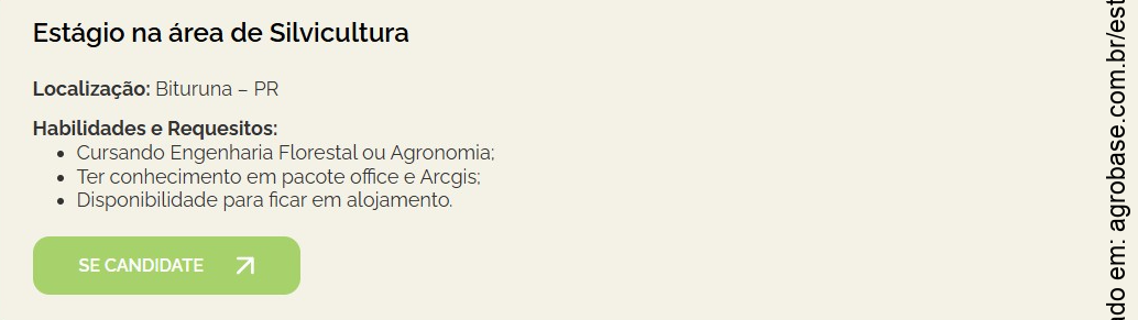 Estágio em Silvicultura – Bituruna/PR