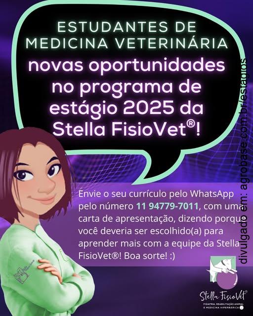Estágio em medicina veterinária – São Paulo/SP