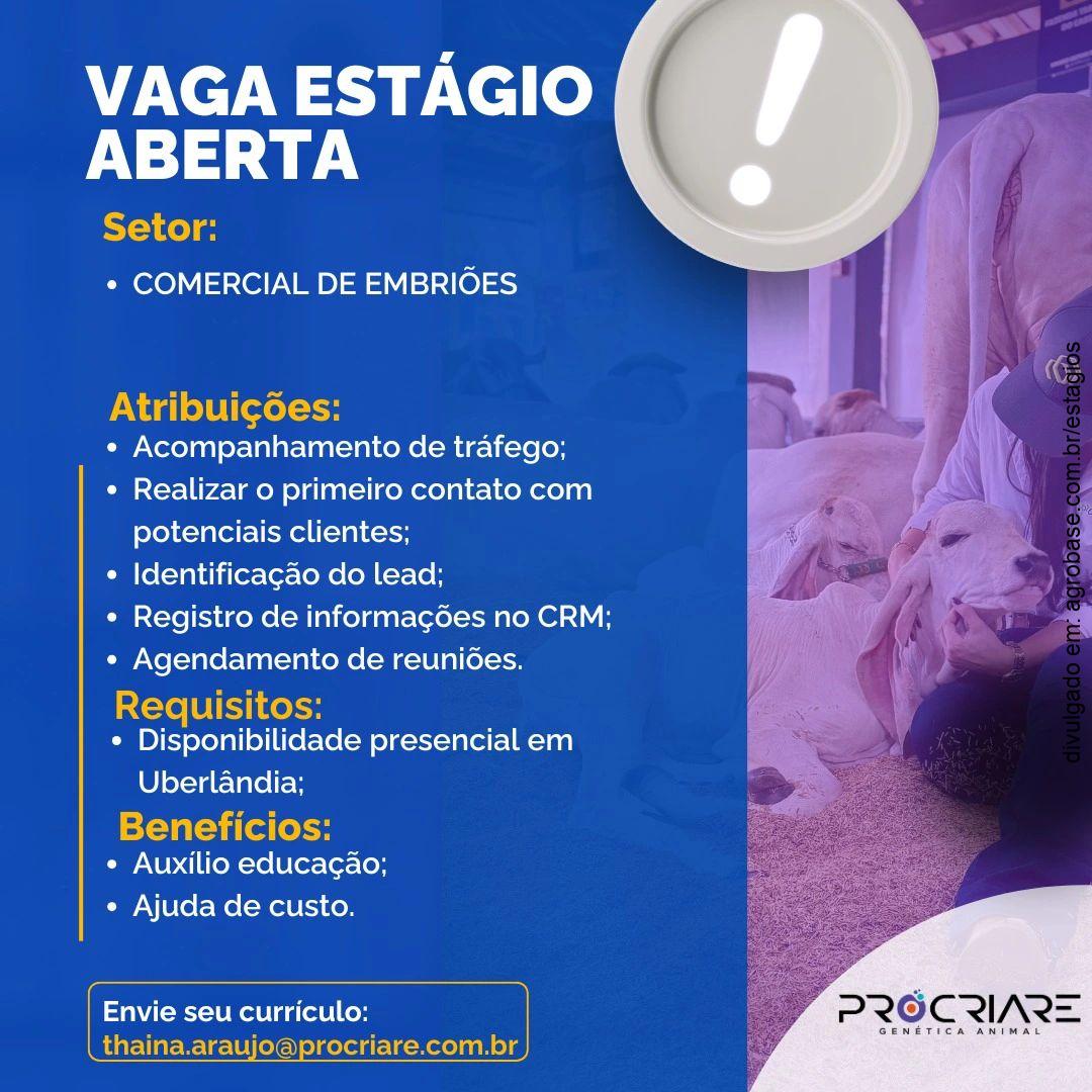 Estágio comercial de embriões – Uberlândia/MG