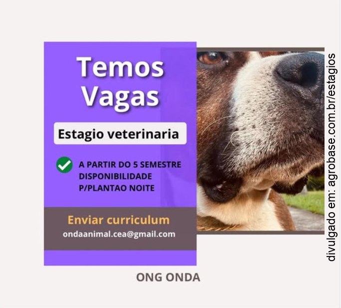 Estágio medicina veterinária – Gravataí/RS