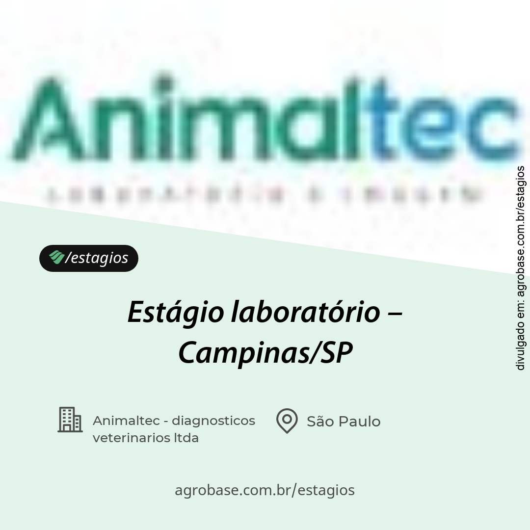 Estágio laboratório veterinário – Campinas/SP