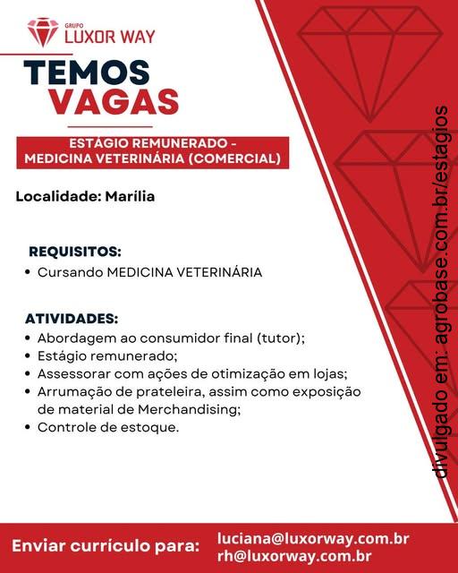 Estágio remunerado em medicina veterinária (comercial) – Marília/SP