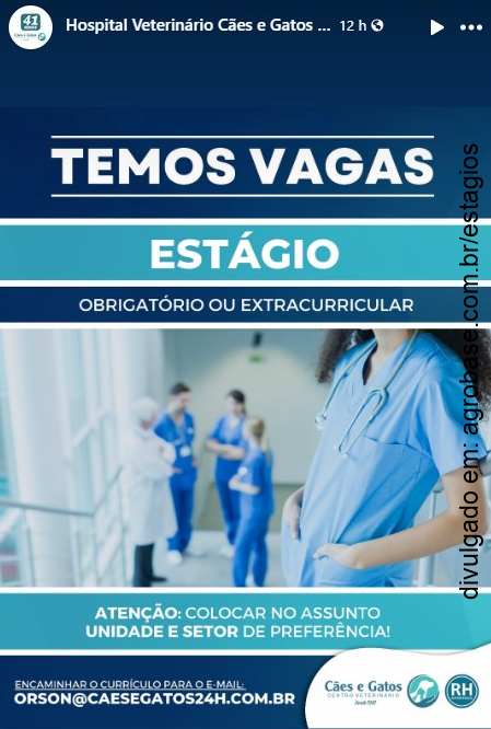 Estágio em hospital veterinário – Osasco/SP