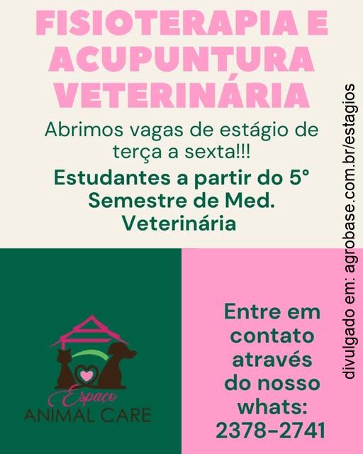 Estágio em fisioterapia e acupuntura veterinária – Mogi das Cruzes/SP