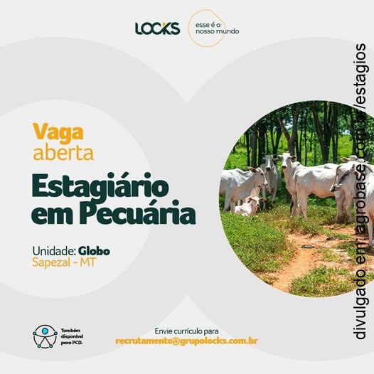 Estagiário em pecuária – Sapezal/MT