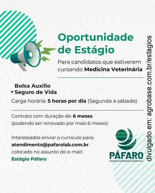 Estágio em medicina veterinária – Americana/SP