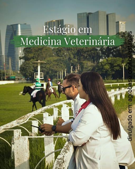 Estágio em medicina veterinária [equinos] – São Paulo/SP