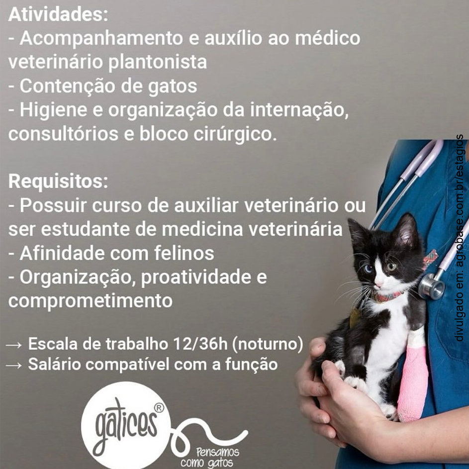 Auxiliar veterinário noturno – Caxias do Sul/RS