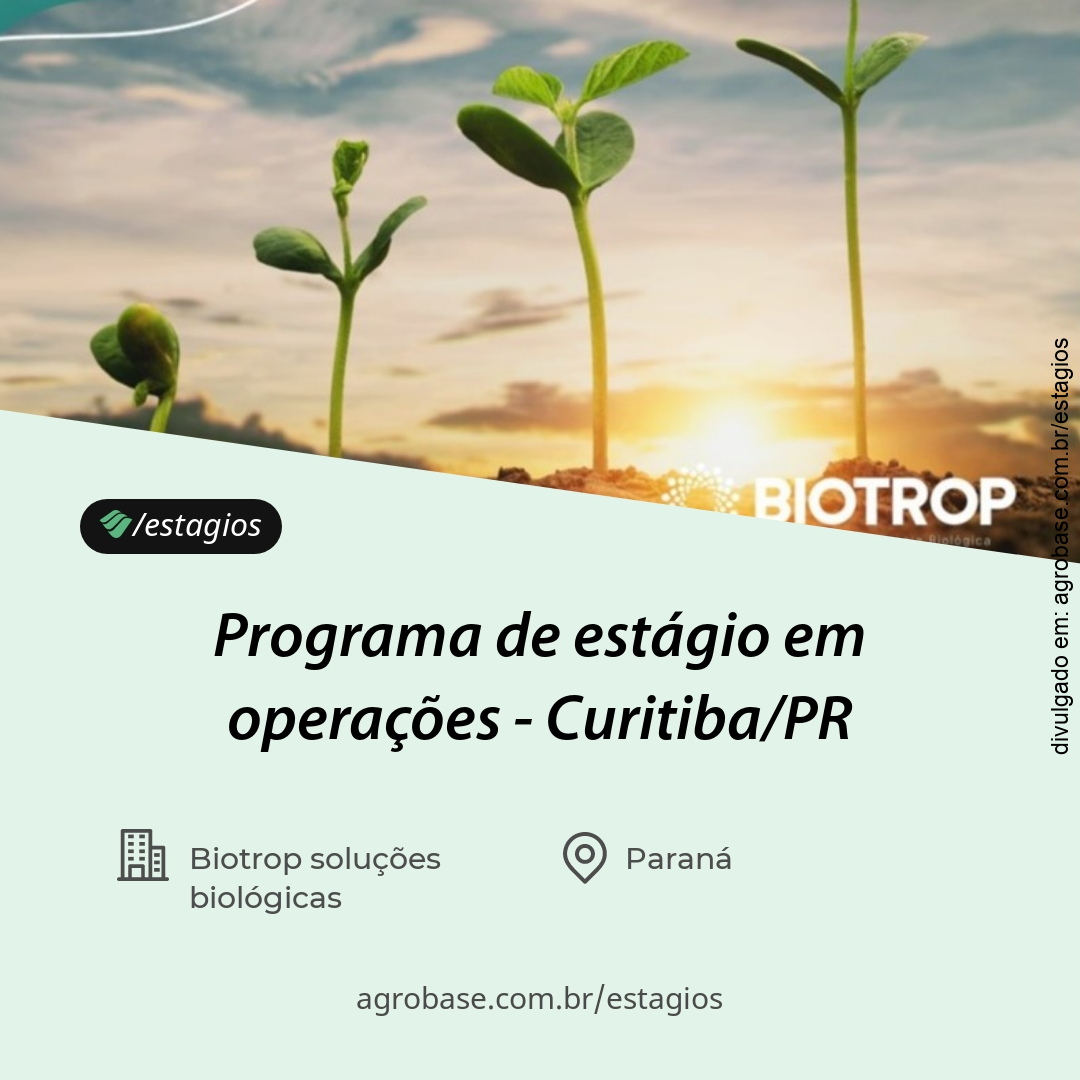 Programa de estágio em operações – Curitiba/PR