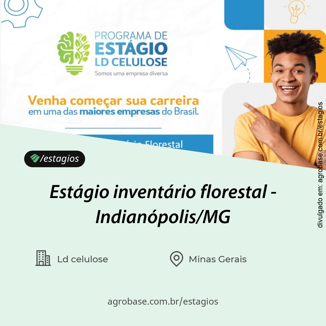 Estágio inventário florestal – Indianópolis/MG