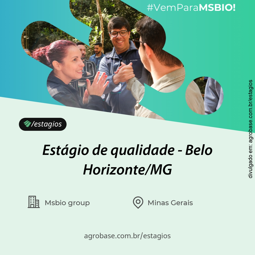 Estágio de qualidade – Belo Horizonte/MG
