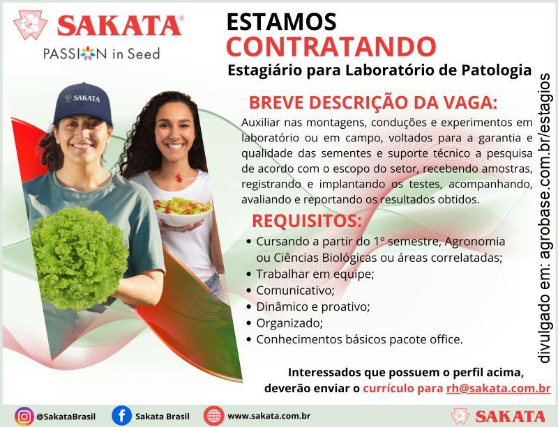 Estágio laboratório de patologia – Bragança Paulista/SP