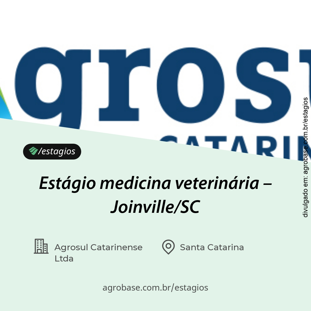 Estágio medicina veterinária – Joinville/SC