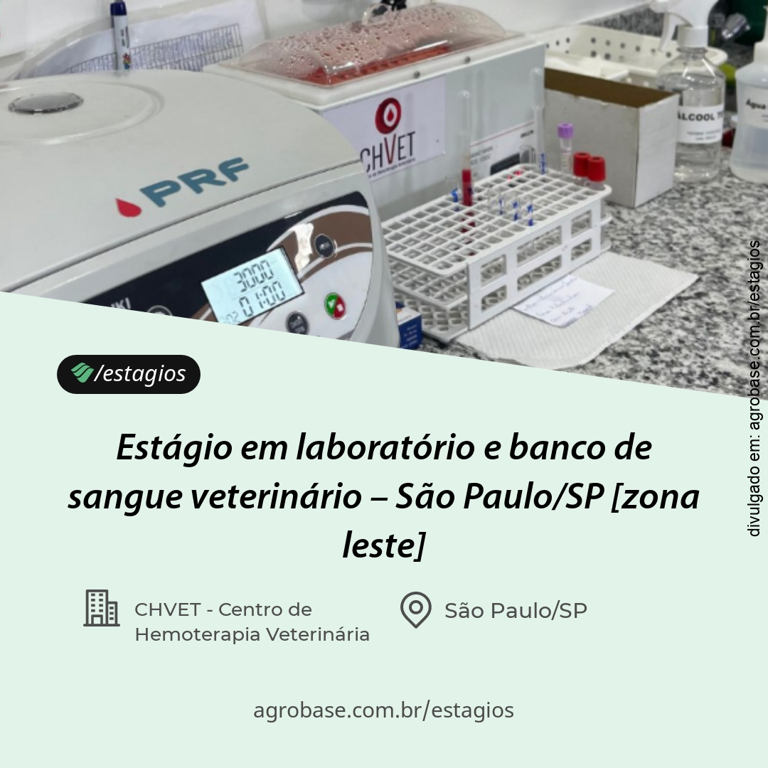 Estágio em laboratório e banco de sangue veterinário – São Paulo/SP [zona leste]