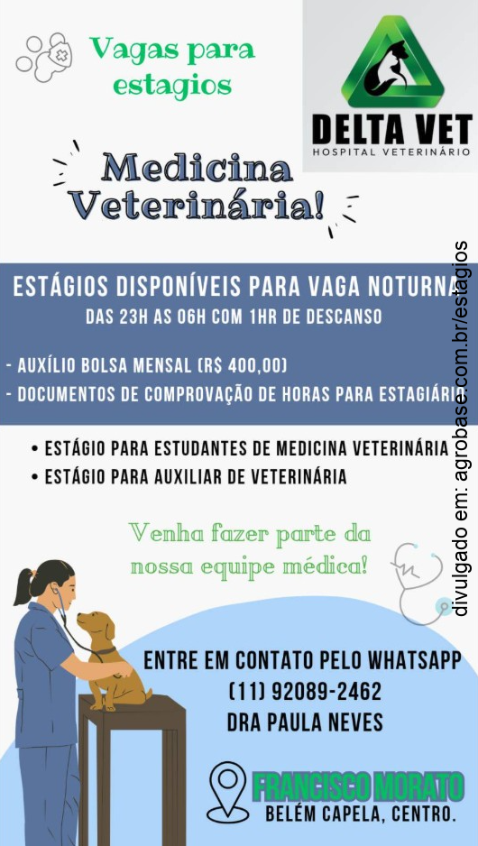 Estágio noturno med. veterinária e auxiliar veterinário – Francisco Morato/SP
