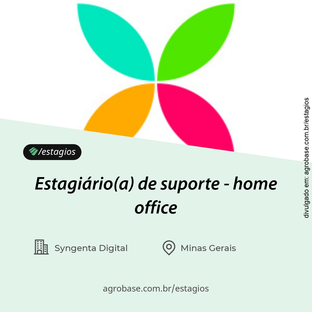 Estagiário(a) de suporte – home office
