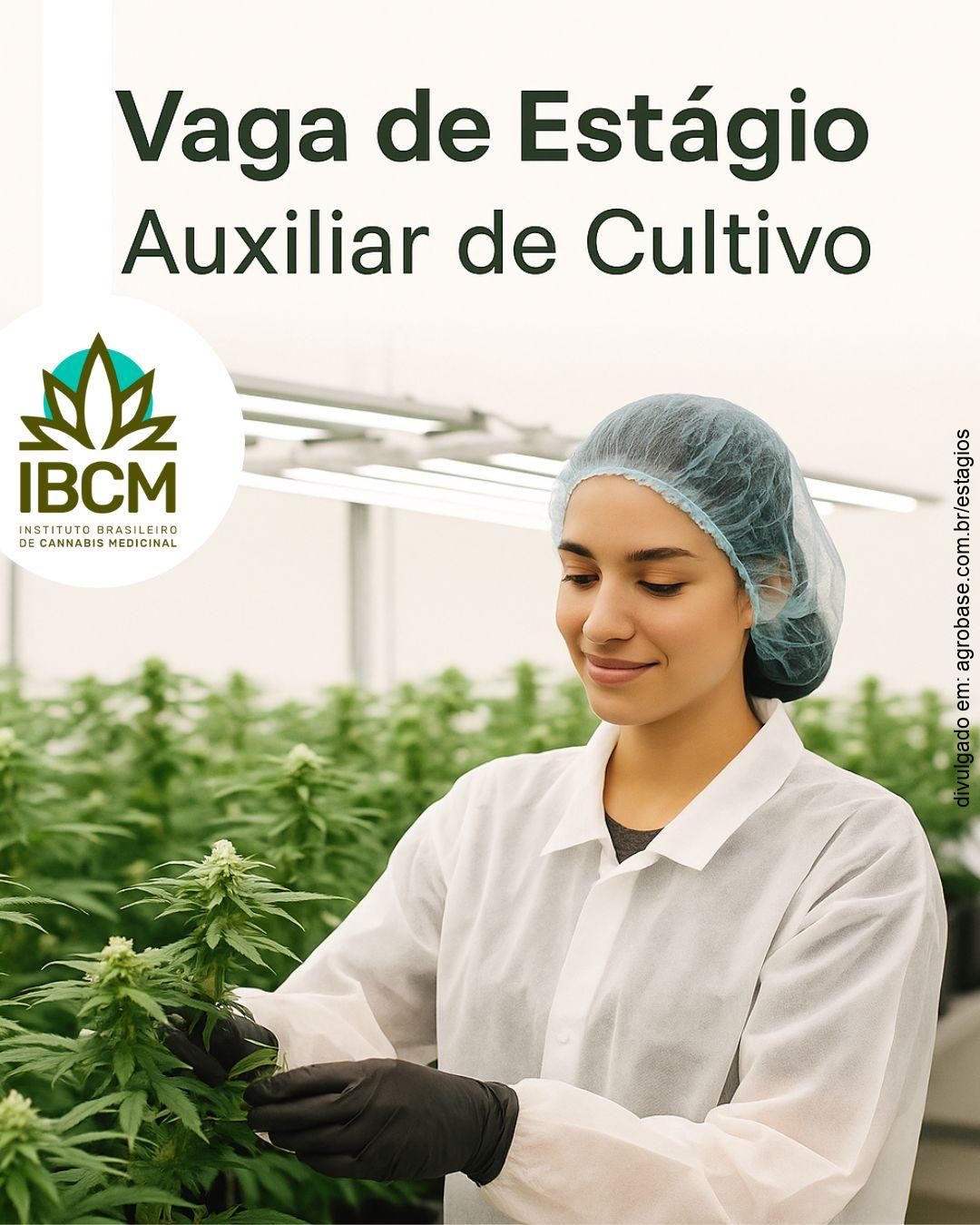 Estágio para auxiliar de cultivo cannabis – São Paulo/SP
