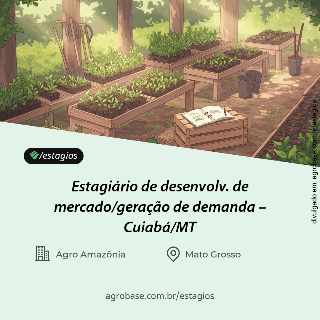 Estagiário de desenvolv. de mercado/geração de demanda – Cuiabá/MT