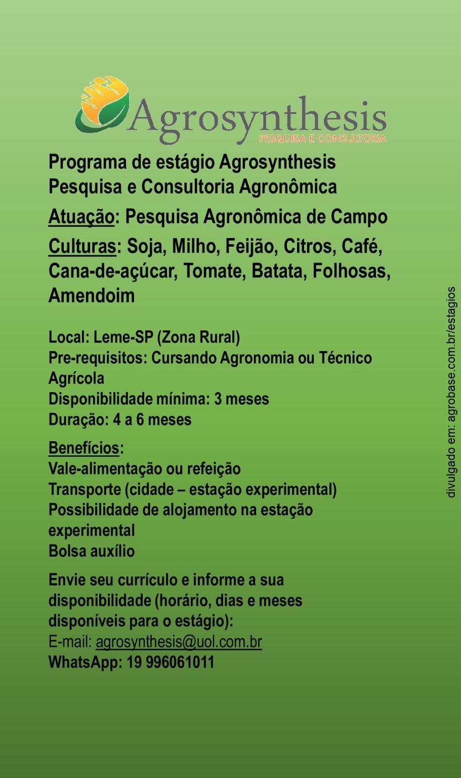 Programa de estágio Agrosynthesis – Leme/SP