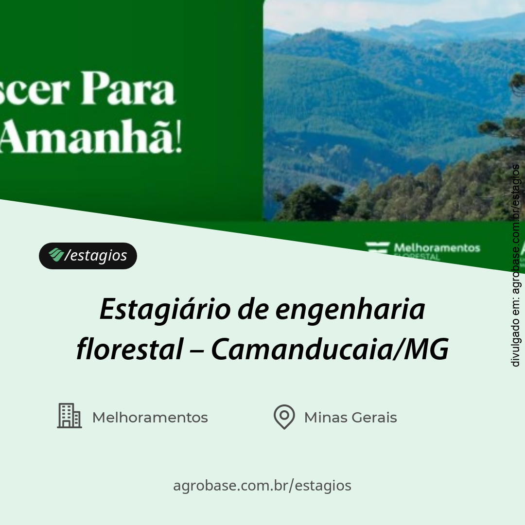 Estagiário de engenharia florestal – Camanducaia/MG