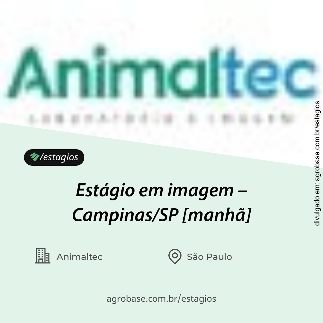 Estágio em imagem – Campinas/SP [manhã]