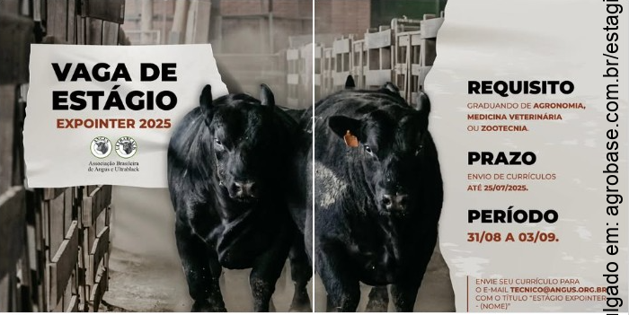 Estágio expointer 2025 – Esteio/RS