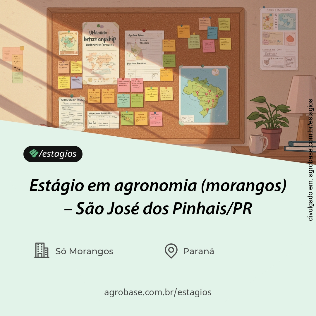 Estágio em agronomia (morangos) – São José dos Pinhais/PR