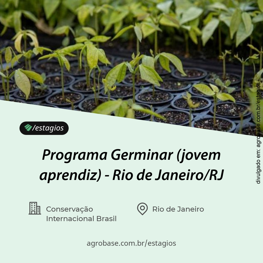 Programa Germinar (jovem aprendiz) – Rio de Janeiro/RJ