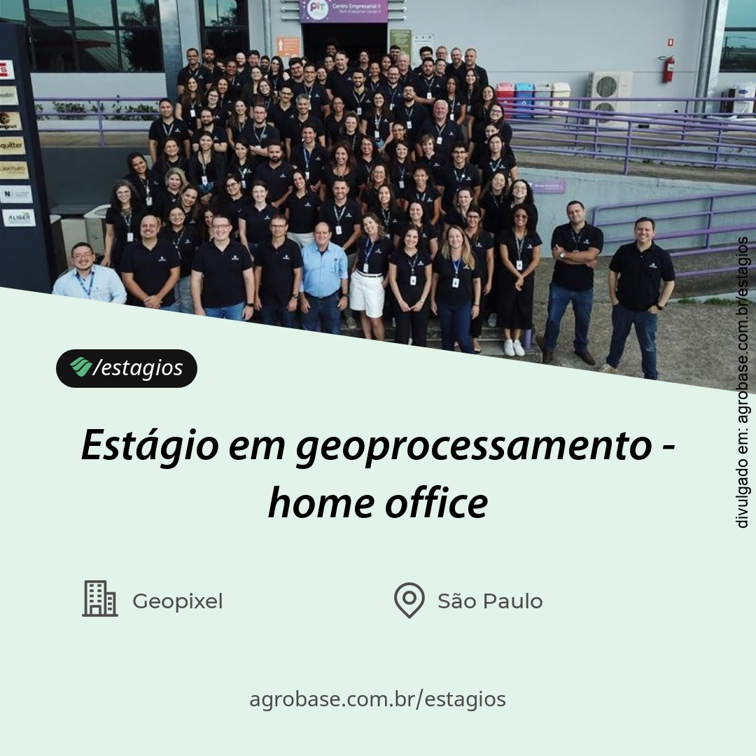 Estágio em geoprocessamento – home office