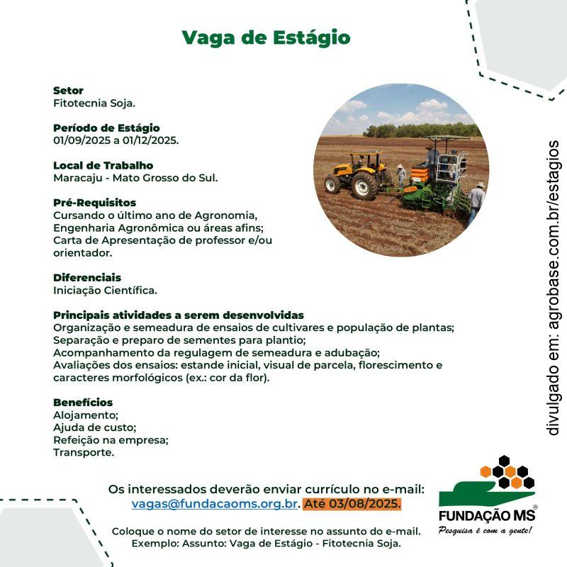 Estágio em fitotecnia soja – Maracaju/MS