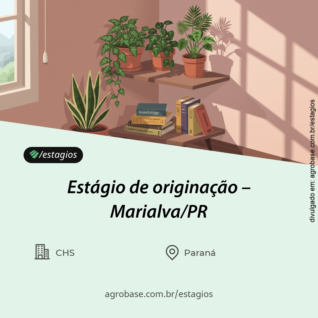 Estágio de originação – Marialva/PR