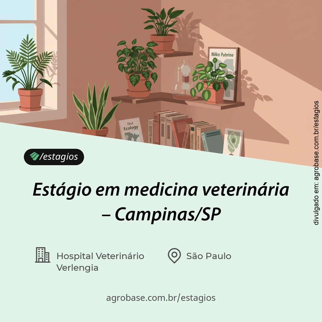 Estágio em medicina veterinária – Campinas/SP