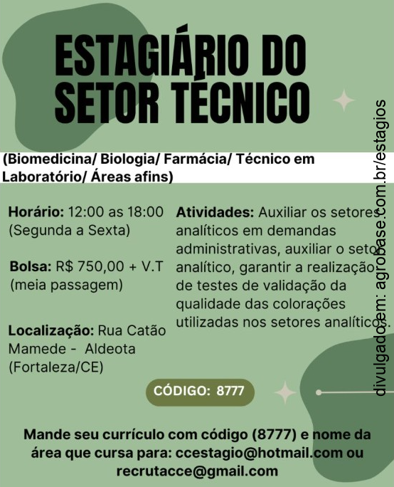 Estágio setor técnico – Fortaleza/CE
