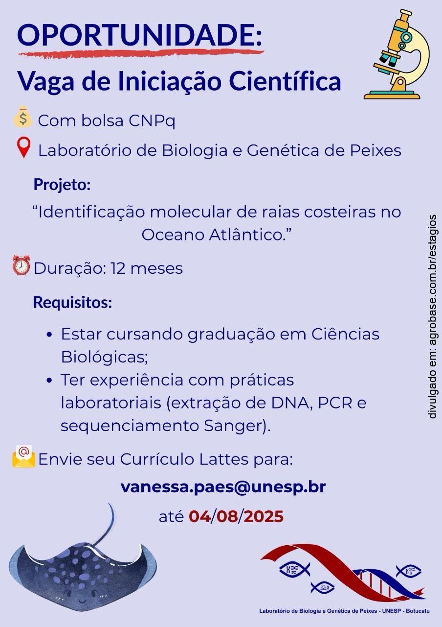 Estágio em iniciação científica (peixes) – Botucatu/SP