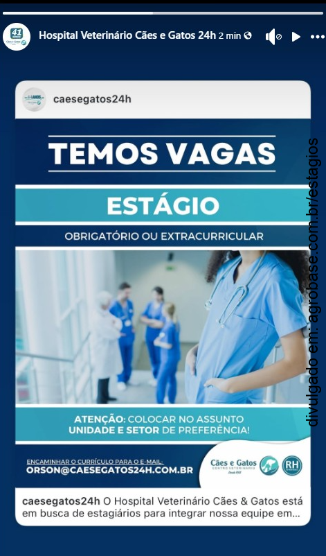 Estágio hospital veterinário – Osasco/SP