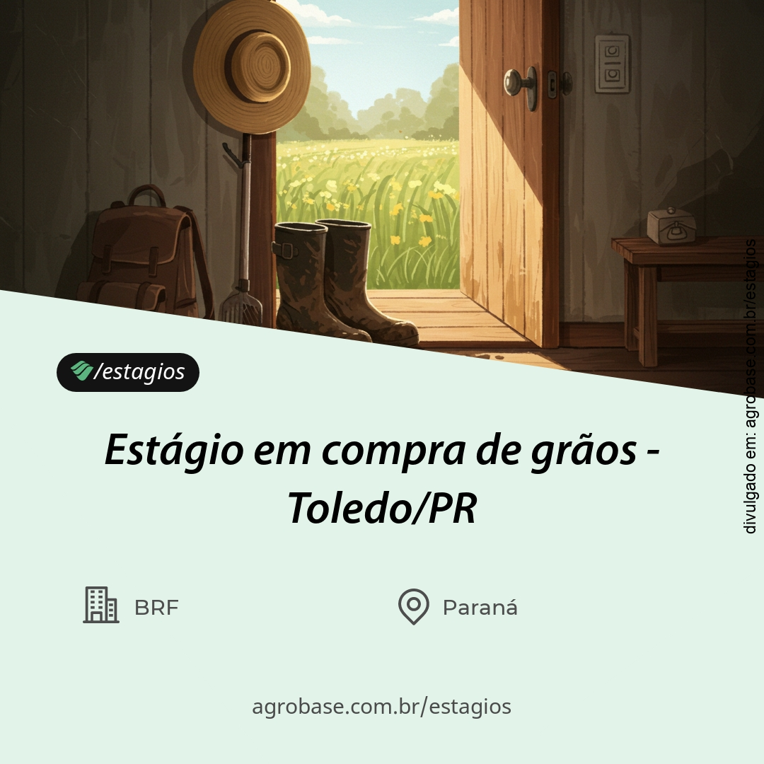 Estágio em compra de grãos – Toledo/PR