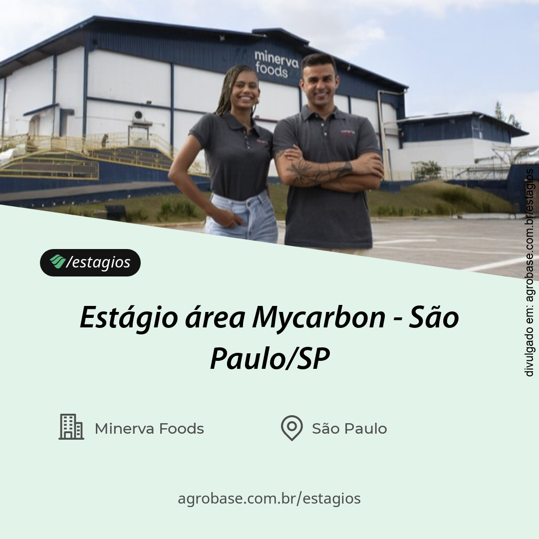 Estágio área Mycarbon – São Paulo/SP