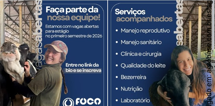 Estágio bovinocultura leiteira – Tambaú/SP