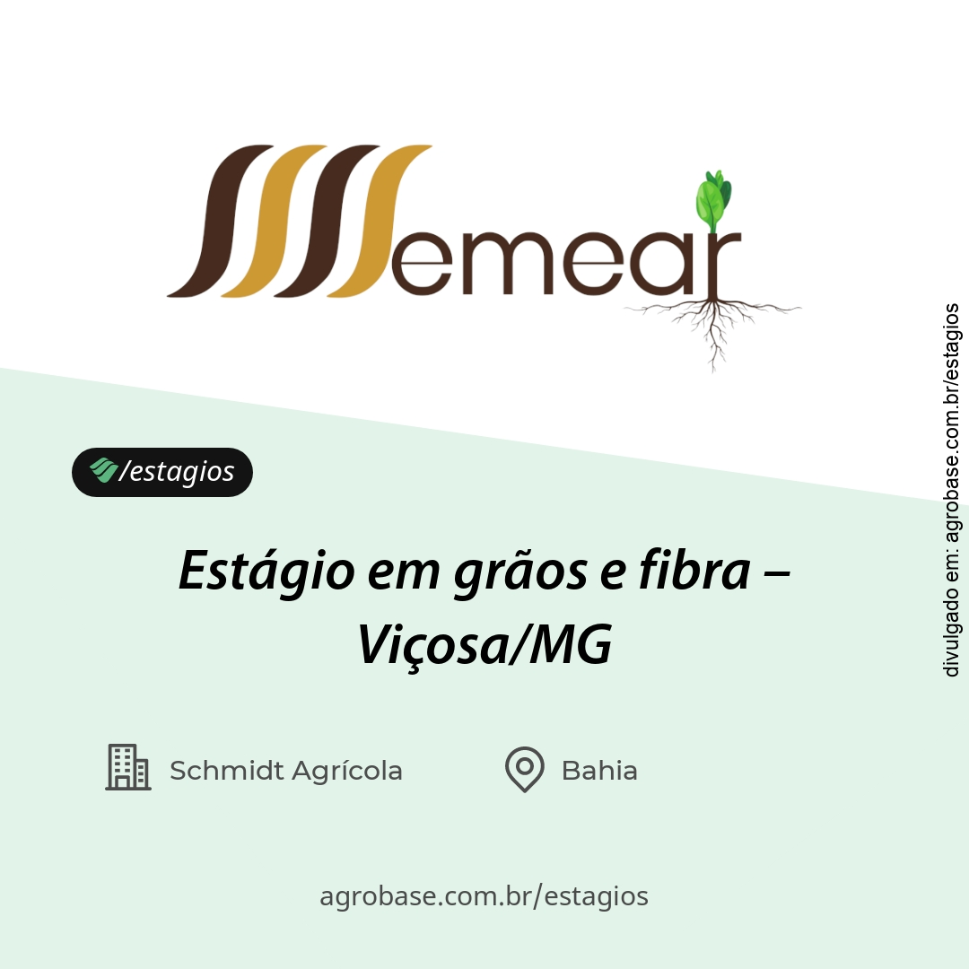 Estágio em grãos e fibra – Viçosa/MG